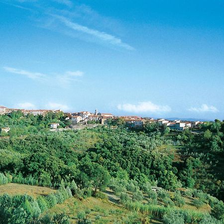 Apartment Il Felciaione-2 By Interhome Riparbella Exterior photo